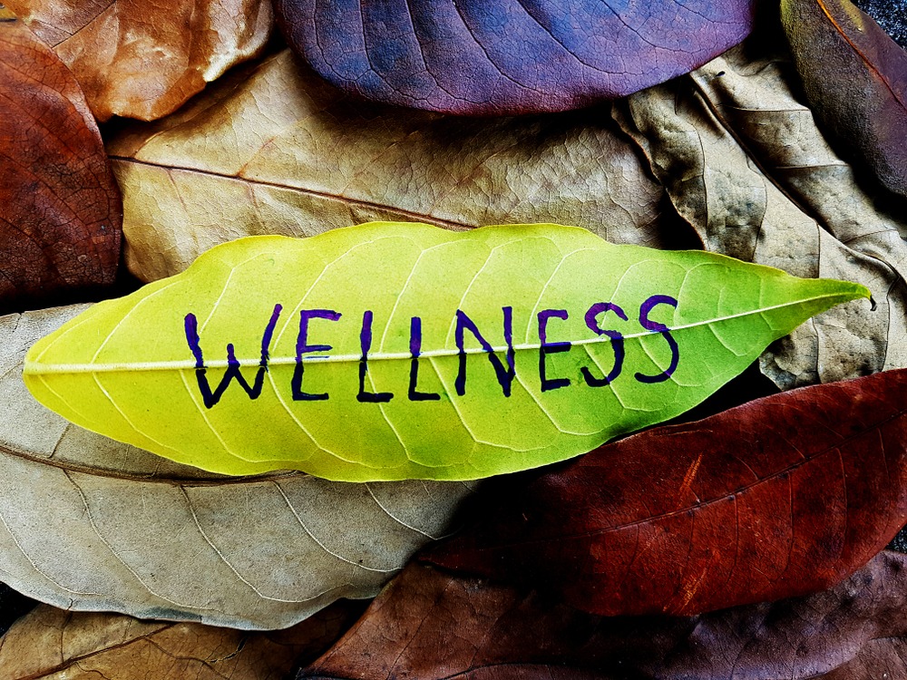 Foglie con scritta wellness benessere in azienda
