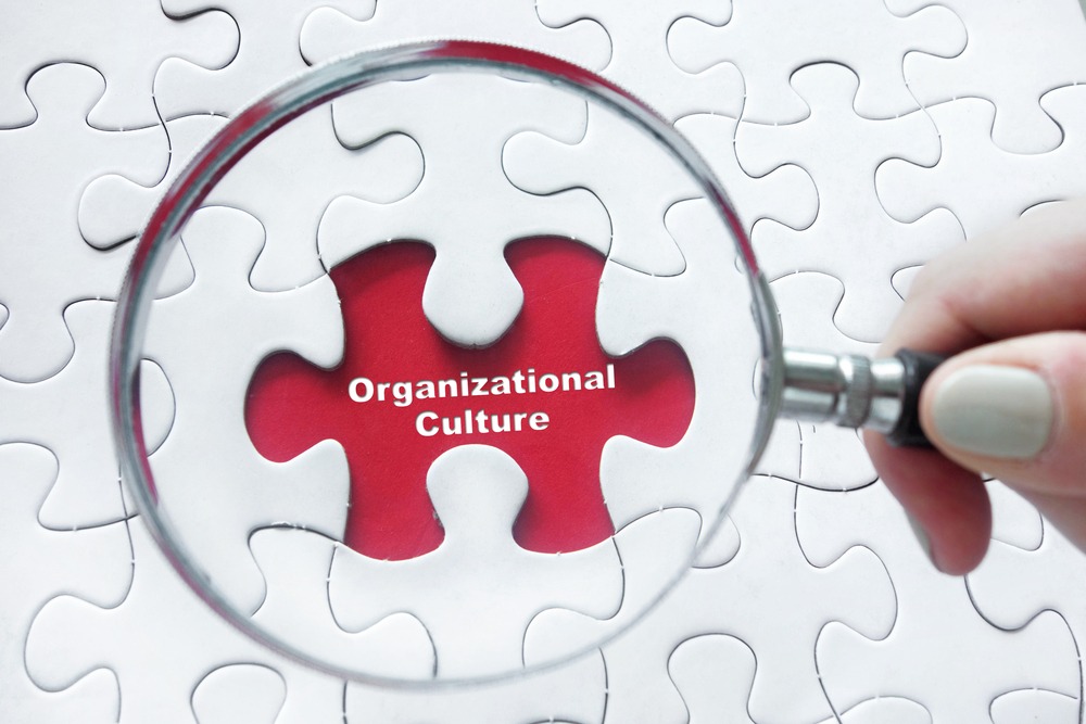 Cultura organizzativa in azienda