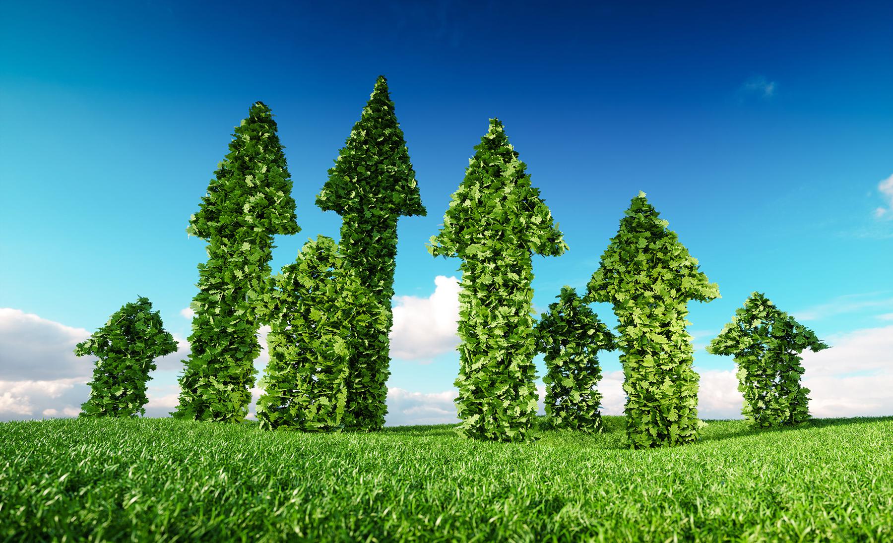 Imprese e transizione ecologica: l'etica aiuta il business. E in azienda arrivano nuove competenze