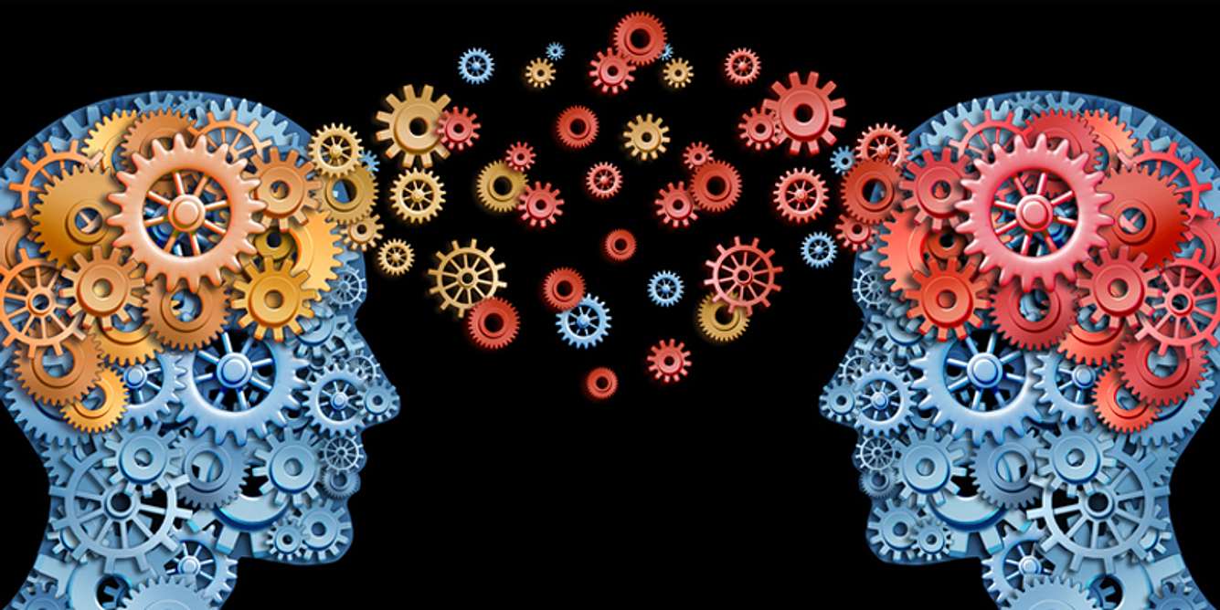 Da remoto, creativo, nei borghi: la ricerca del lavoro che piace passa dall'istruzione