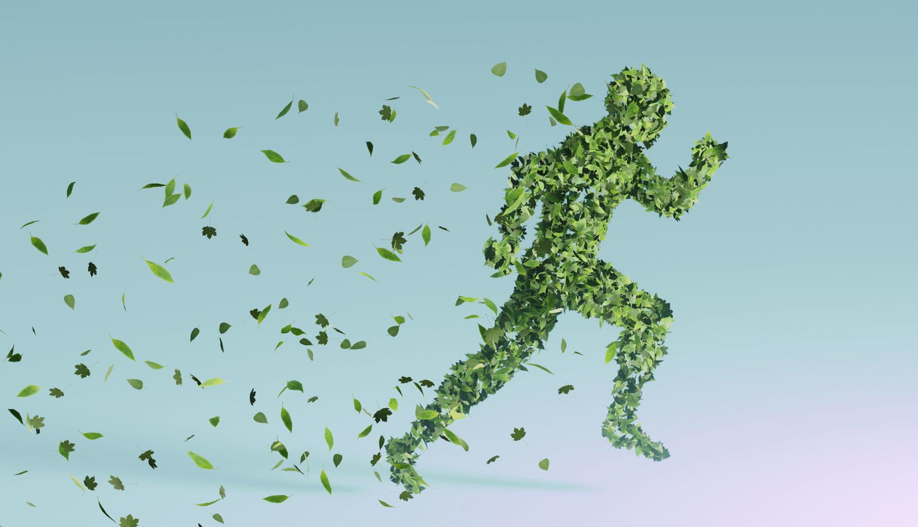 Transizione verde: l'Italia corre e vince. E le imprese hanno fiducia: nel lavoro e nell'export