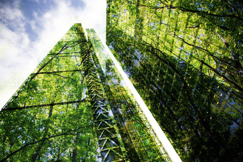 Finanza green Finanza green