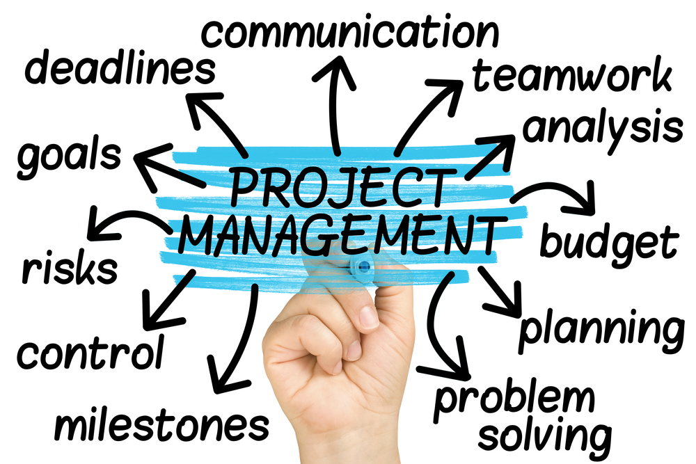 Project manager Item