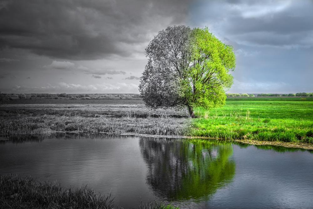 Transizione ecologica