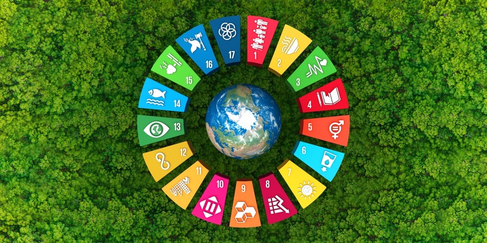 Corporate Sustainability Due Diligence