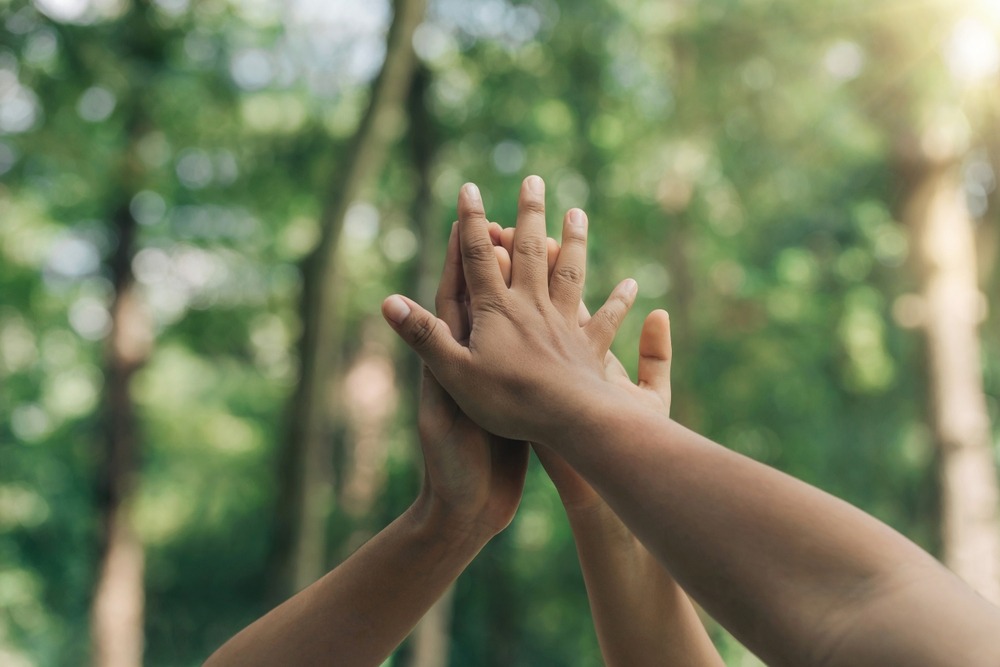 Corporate Sustainability Due Diligence