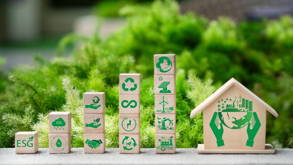 Corporate Sustainability Due Diligence