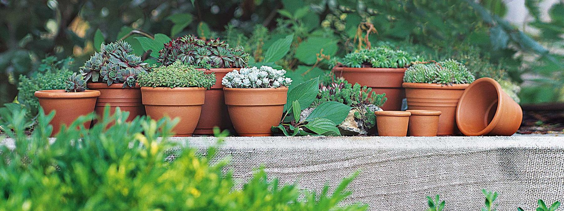 Vasi in plastica per fiori e piante: sospeso il contributo Conai fino al 31 dicembre 2023